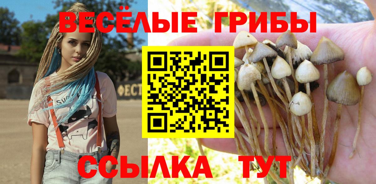 Каменск-Уральский  Галлюциногенные грибы ЛСД  Вход с VPN  Псилоцибиновые грибы Magic Shrooms 
