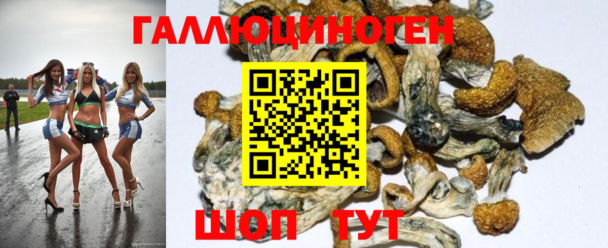 Псилоцибиновые грибы GOLDEN TEACHER Каменск-Уральский